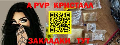 молекула духа Ставрополь