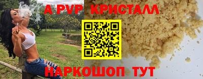 молекула духа Ставрополь
